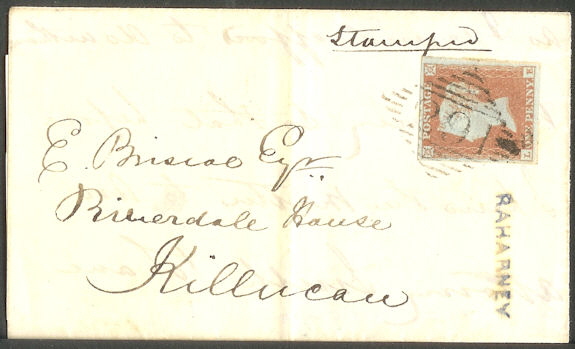 Plate 118 LE